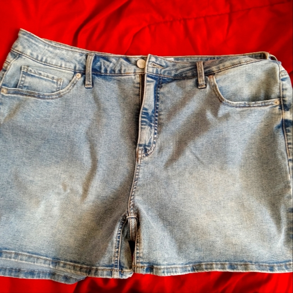 Terra & Sky Light Blue Jean Shorts